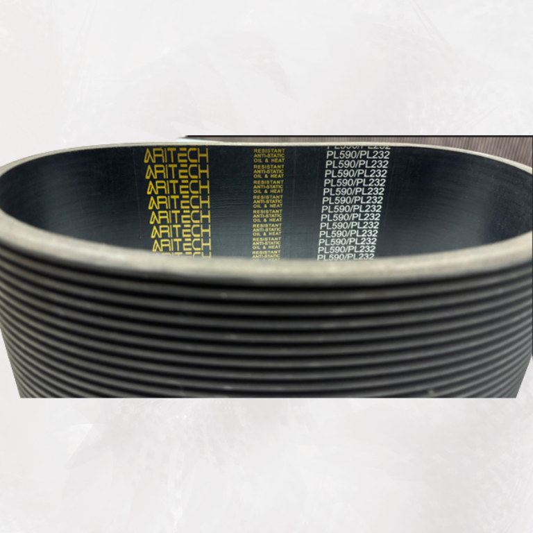 MULTI RIBBED BELTS - PL